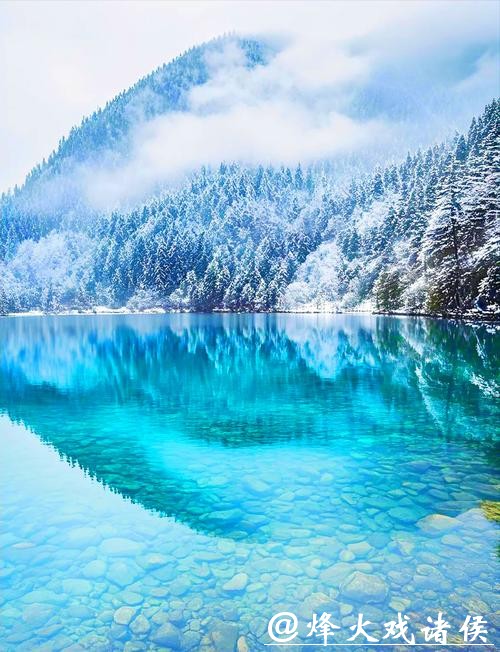 四川九寨沟：童话秘境化身活力雪域