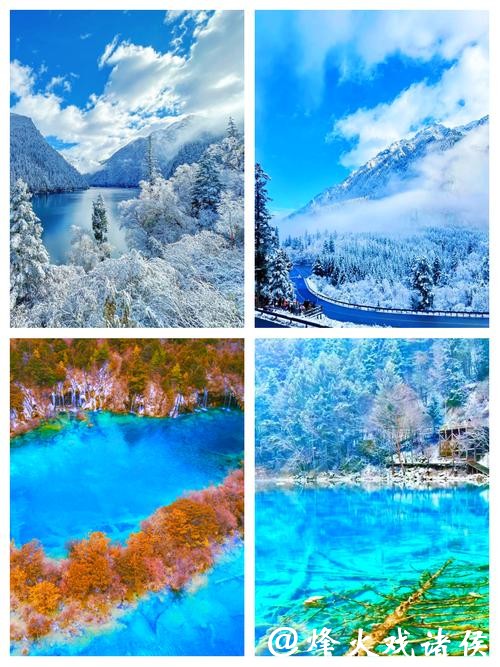 四川九寨沟：童话秘境化身活力雪域